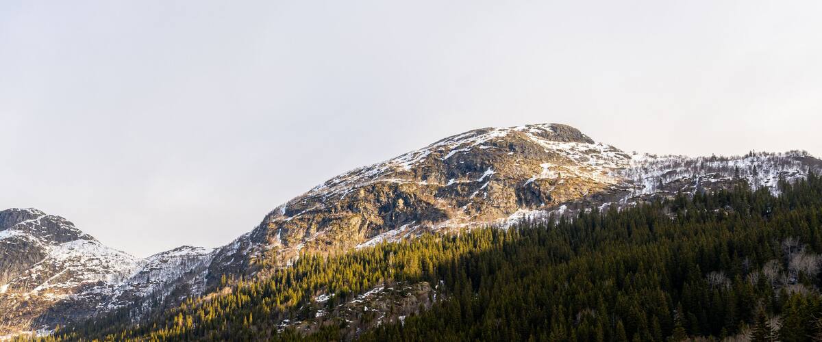 A mountain range with snow-capped peaks and dense forest.