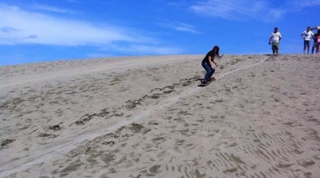 Sand boarding at Paoay sand dunes