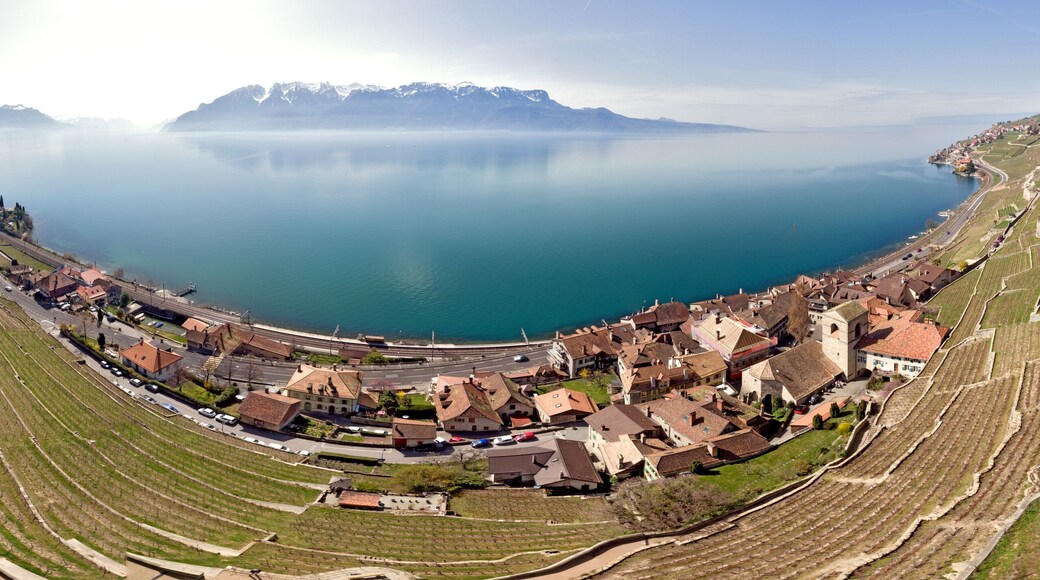 Some Panoramic views above Swiss wine country in Saint-Saphorin a municipality in the Swiss canton of Vaud, located on the shore of Lake Geneva, in the district of Lavaux-Oron.