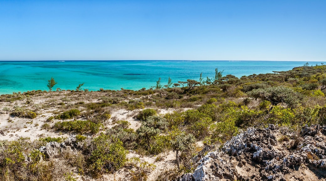 District de West Coast