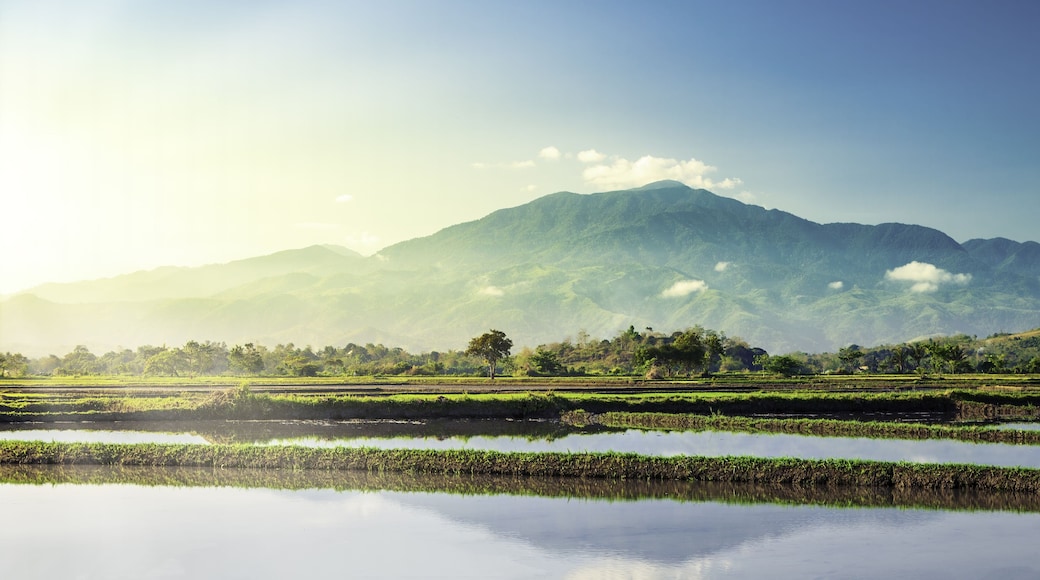 Un paysage montagneux, avec de vastes prairies verdoyantes et des étendues d’eau paisibles.