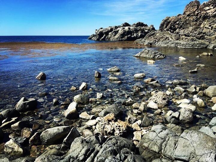 I explored the natural beauty of the island and was admired by the seashore rock 🏖🗿
#philippines🇵🇭 #ilocossur #island🌴 #seashore🌊 #wanderer  #travelblog #youngadventuress #asiatravel #asia #travelblogger #travelblogs #travelphotography 