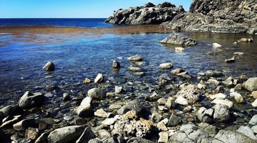 I explored the natural beauty of the island and was admired by the seashore rock 🏖🗿
#philippines🇵🇭 #ilocossur #island🌴 #seashore🌊 #wanderer #travelblog #youngadventuress #asiatravel #asia #travelblogger #travelblogs #travelphotography