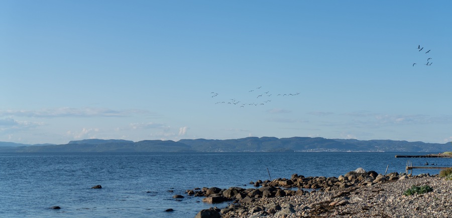 Skaliste wybrzeże na wyspie Jeloya należącej do miasta Moss nad Oslofjordem w Norwegii