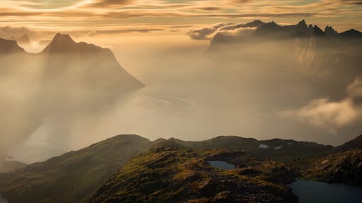 Senja