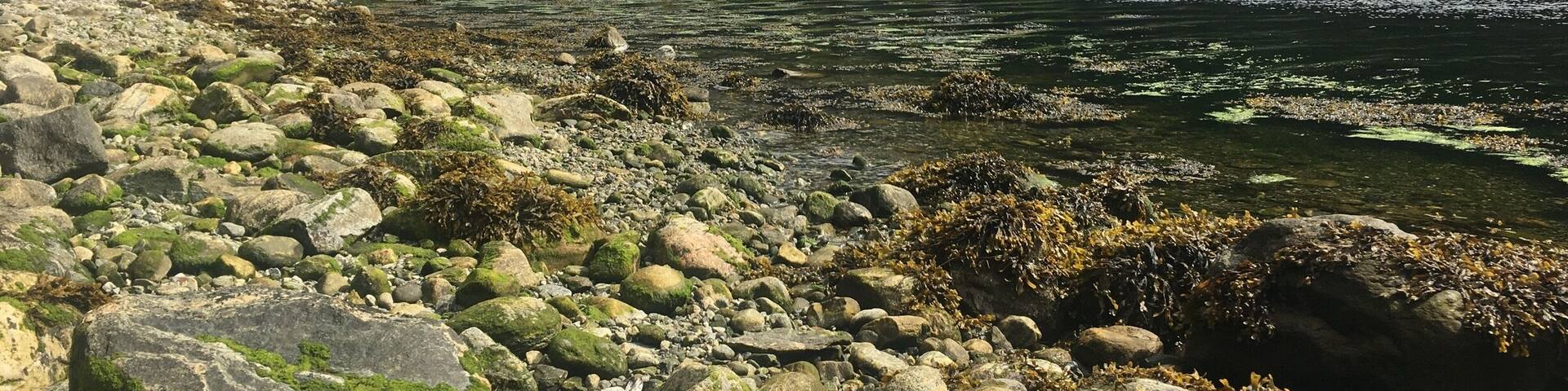 Quiet isolated fjord north of Bergen