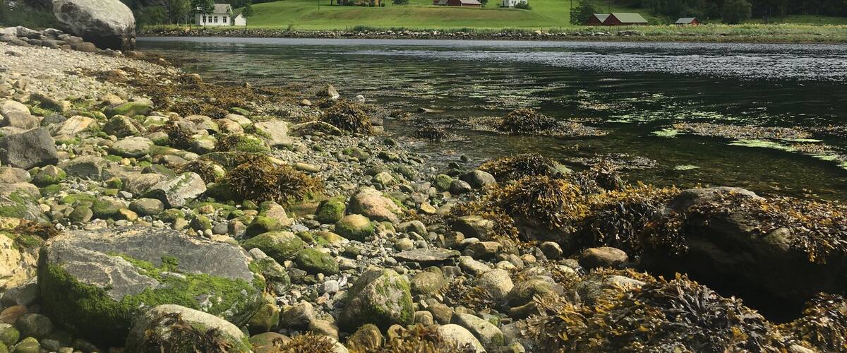 A rocky shoreline with a river, green hills, and houses in the background.