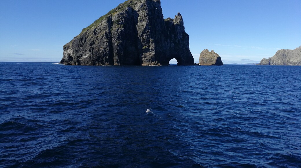 Hole in the Rock tour with Great Sights