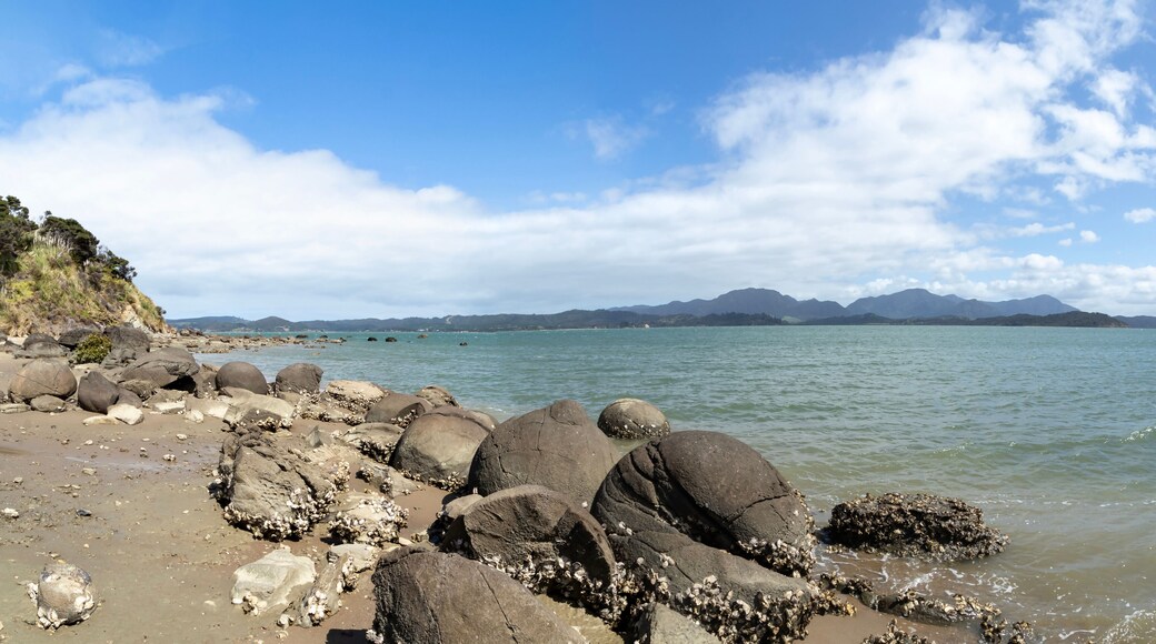 Distrito de Far North