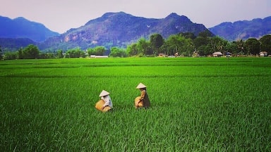 #SprinFun #TroveOn
Rice fields in Mai Chau, Vietnam. Gorgeous views!