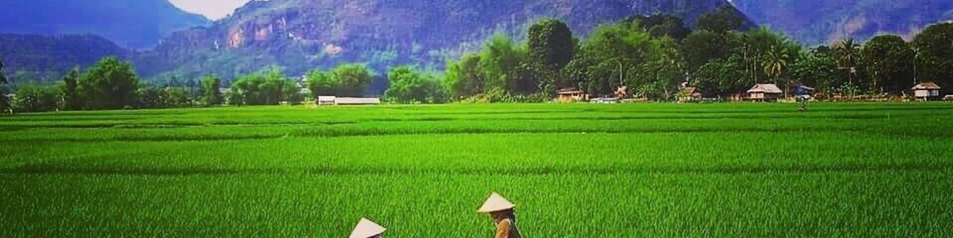 #SprinFun #TroveOn
Rice fields in Mai Chau, Vietnam. Gorgeous views!