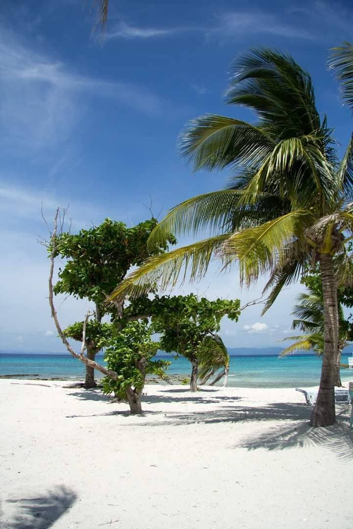 A great diving trip with a delicious lunch on Kalanggaman