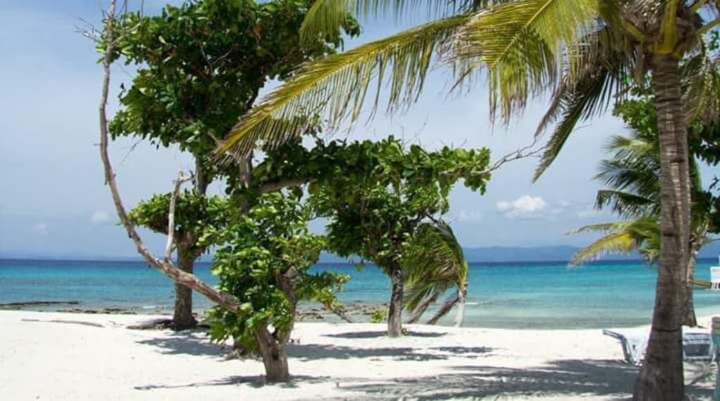 A great diving trip with a delicious lunch on Kalanggaman