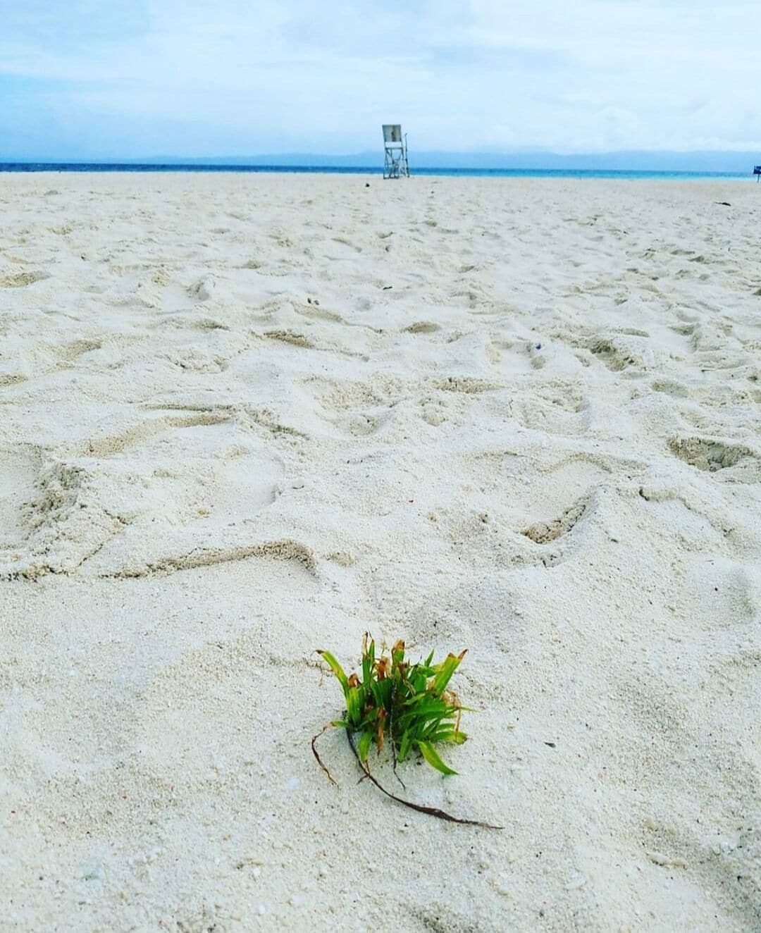As a native of the Leyte Province, I can say that this gem is truly to be proud of. Kalanggaman Island offers the best white sands and amazing sandbar. Though just a small island but this place gives you that feeling like you're in a paradise. After supertyphoon Haiyan hit Leyte in 2013, this island paradise continue to stand strong and boost its beauty. Just like a true Waray, resilient, strong and beautiful. #Culture