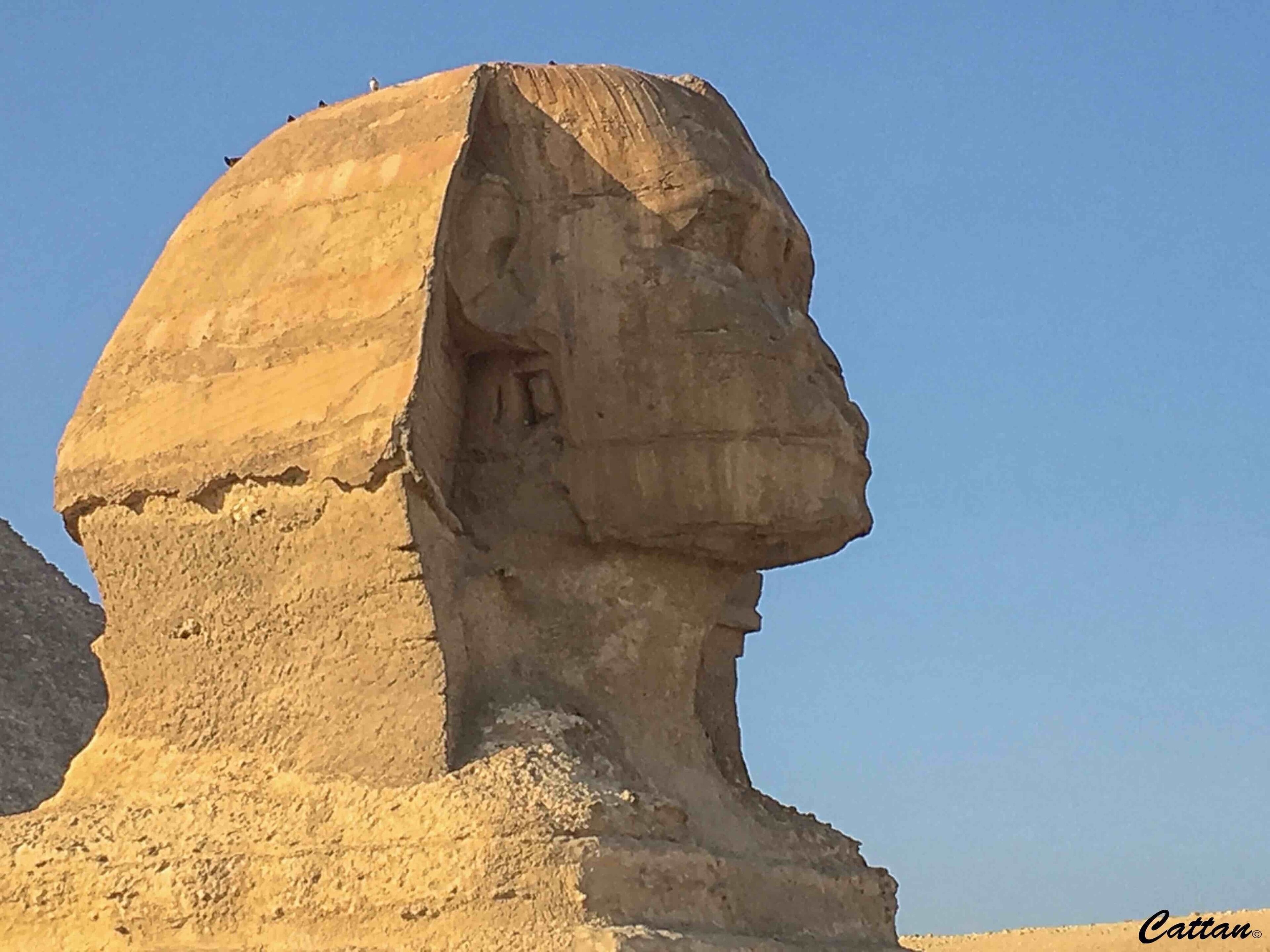 Giza plateau, Cairo, Egypt #red #travel #nationalpark #architecture #ancient #ruins #Egypt #hiking