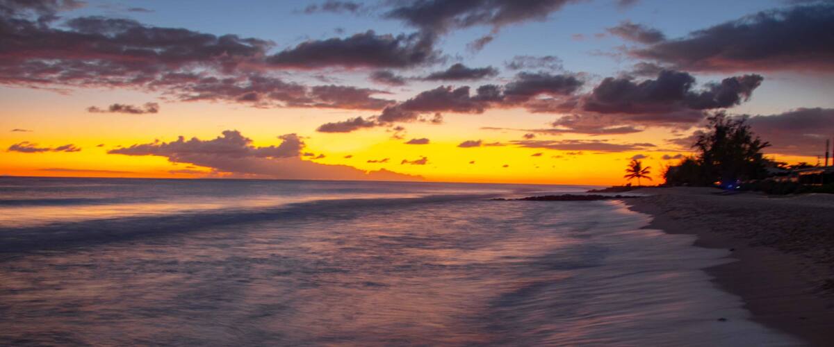 A sunset over a beach with waves, a palm tree, and a distant shoreline.