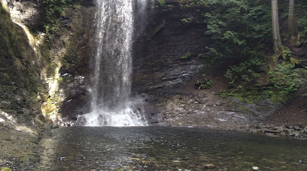 Formerly known as Ammonite Falls, this is a great afternoon hike with a cool waterfall and pond at the end of the hike. Well worth it!