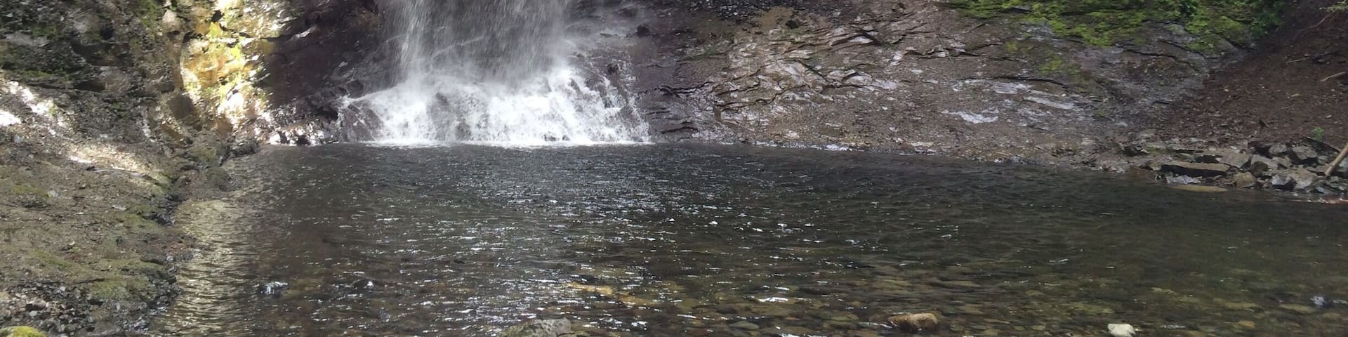 Formerly known as Ammonite Falls, this is a great afternoon hike with a cool waterfall and pond at the end of the hike. Well worth it!