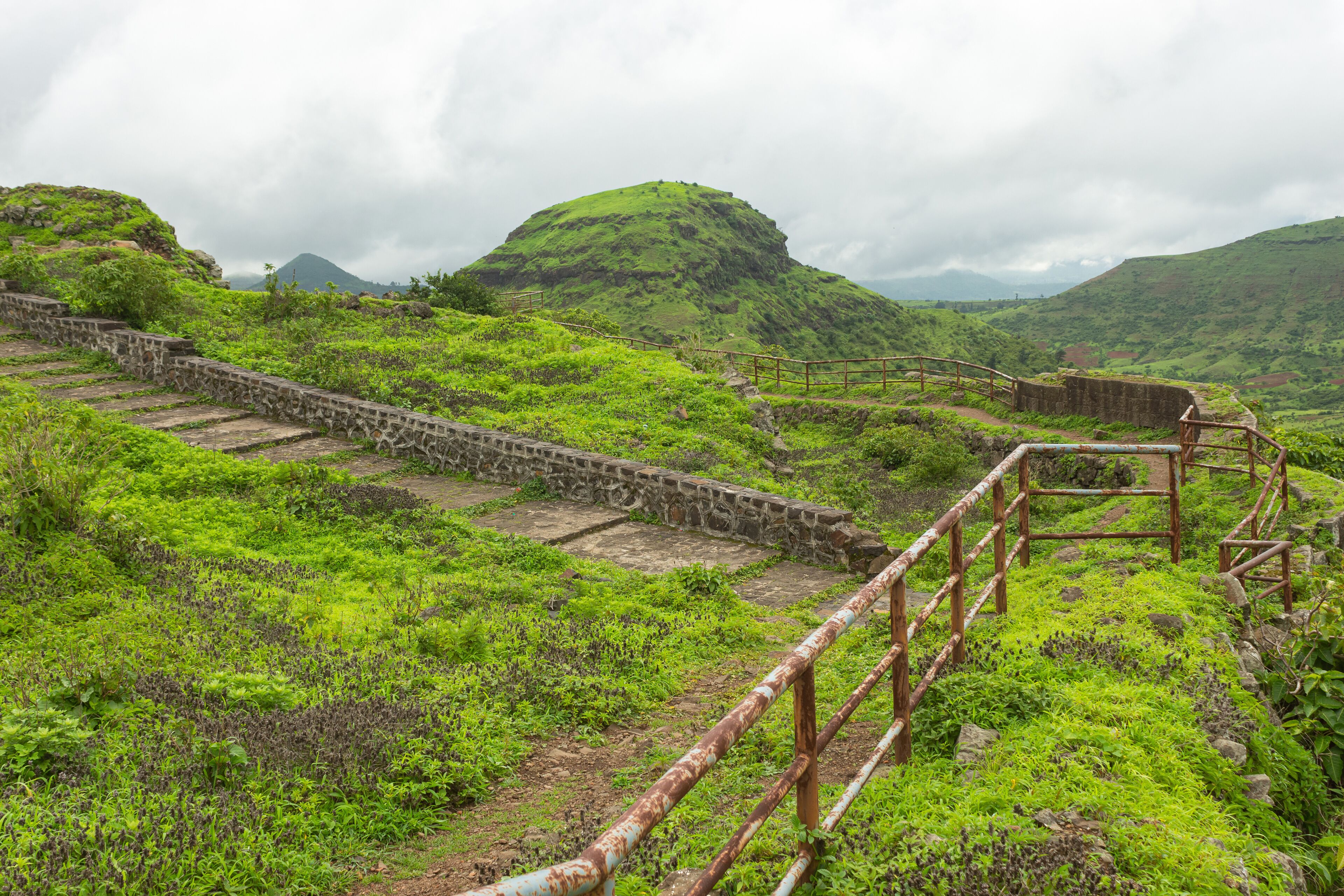 A stone staircase leading up a hill with lush green vegetation.