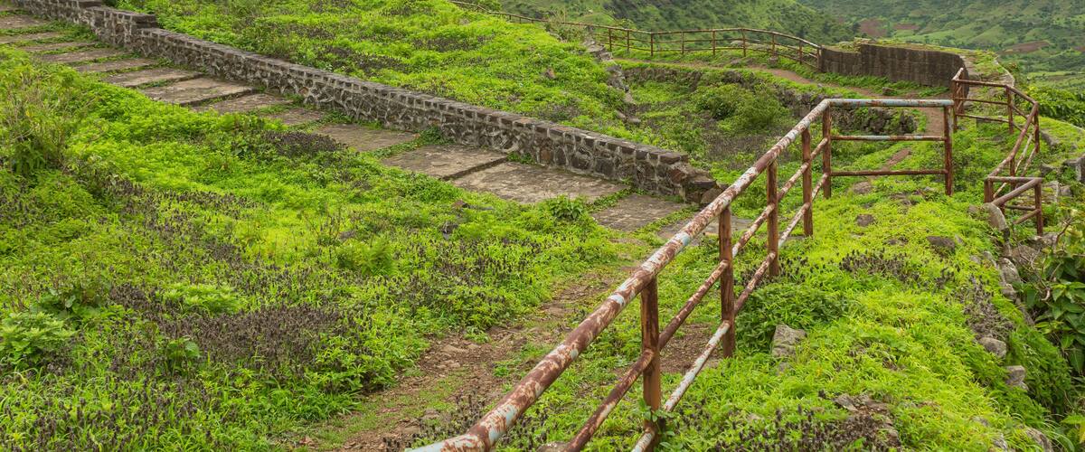 A stone staircase leading up a hill with lush green vegetation.