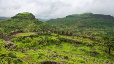 A lush green landscape with rolling hills, a stone pathway, and a wooden fence leading to a small structure.