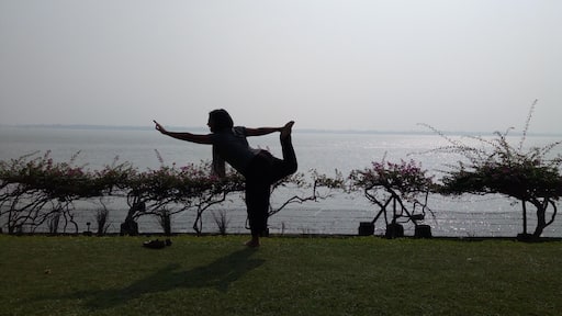 Morning bliss is when you walk on the shiny morning dew felt grass . Nature makes u feel the best .
#park photo challenge
#travelwithvagabong #gangariver #westbengal