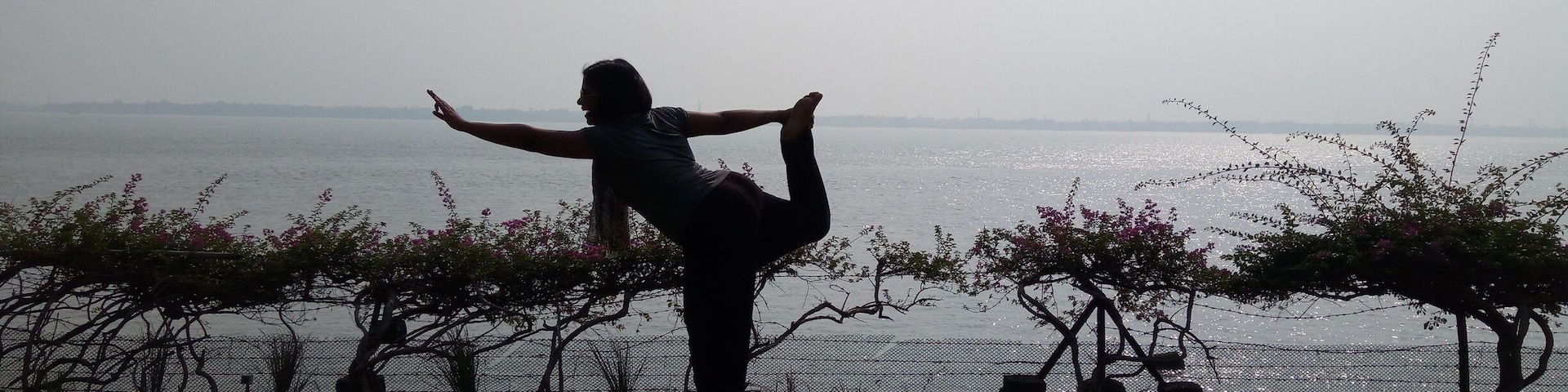 Morning bliss is  when you walk on the shiny morning dew felt grass . Nature makes u feel the best .
#park photo challenge 
#travelwithvagabong #gangariver #westbengal