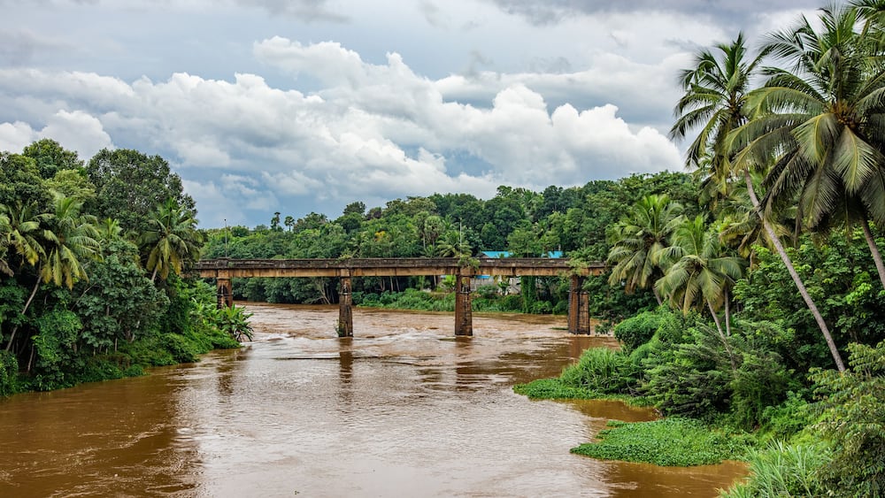 tropical waterscapes with coconut trees