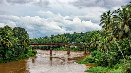 tropical waterscapes with coconut trees