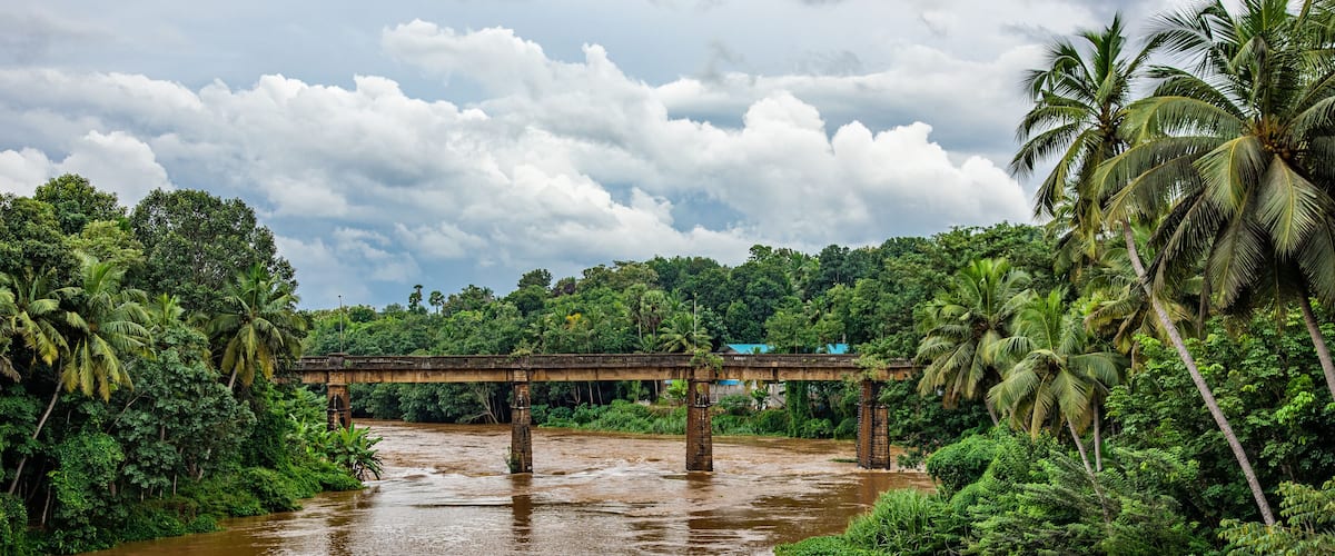 A river with a bridge, surrounded by lush greenery and palm trees.