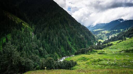A valley with a river, dense forest, and a mountain range.