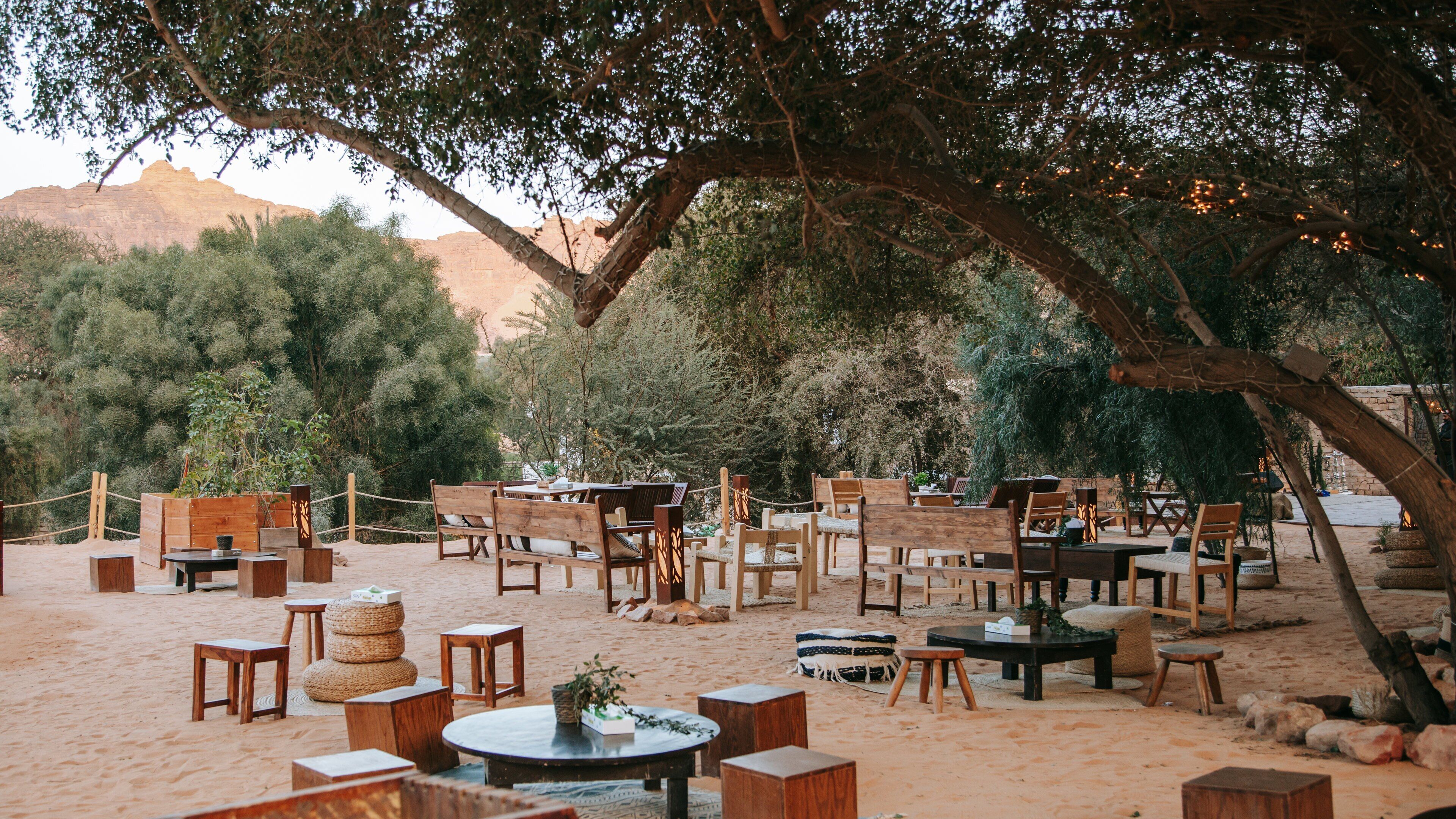 Al Jadidah showing a park