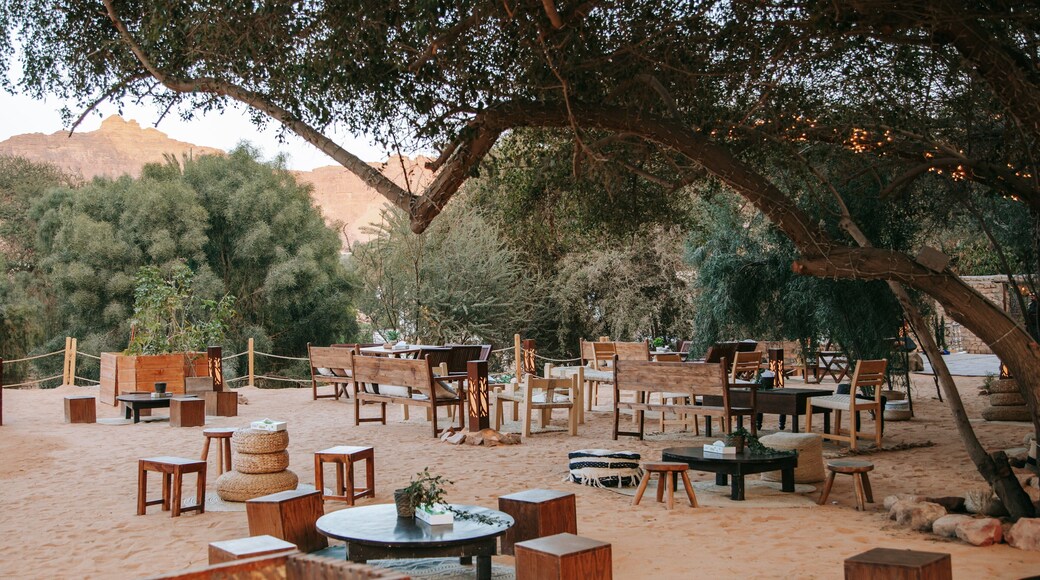 Al Jadidah showing a park