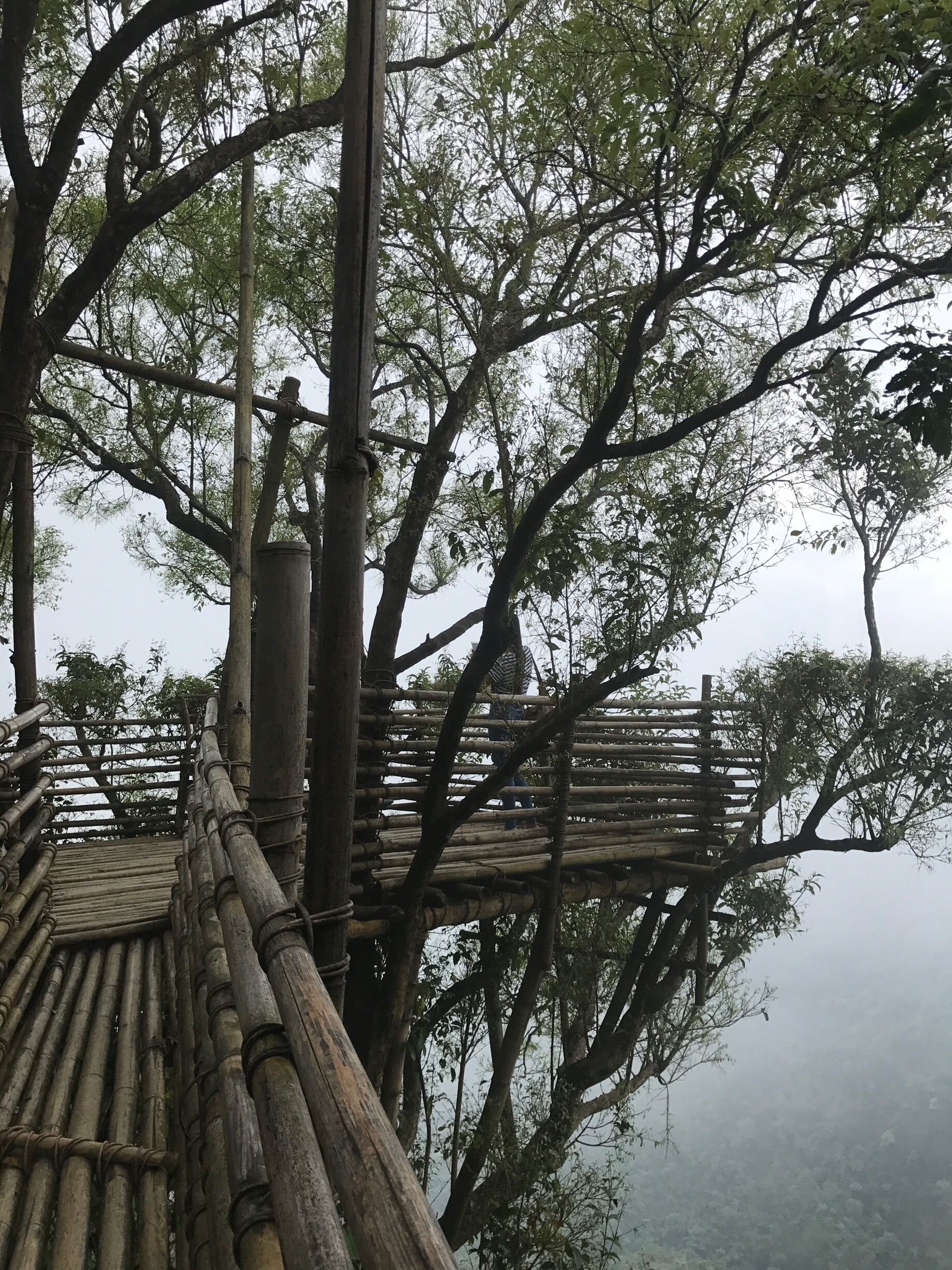 ❤️ #urban jungle