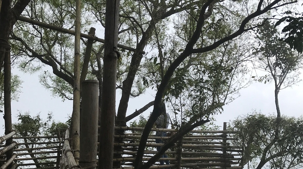 ❤️ #urban jungle