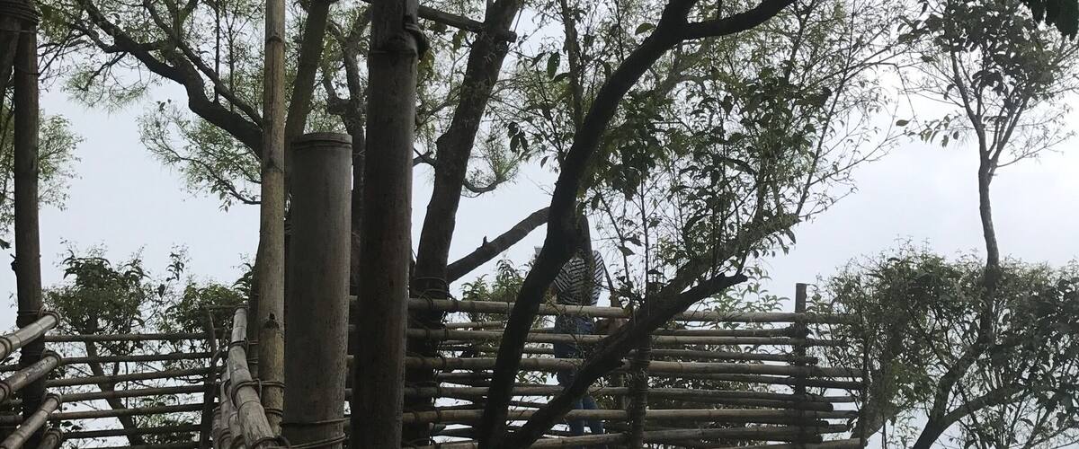 ❤️ #urban jungle