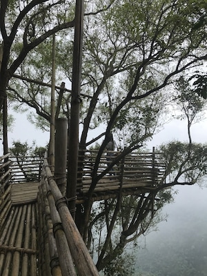 ❤️ #urban jungle