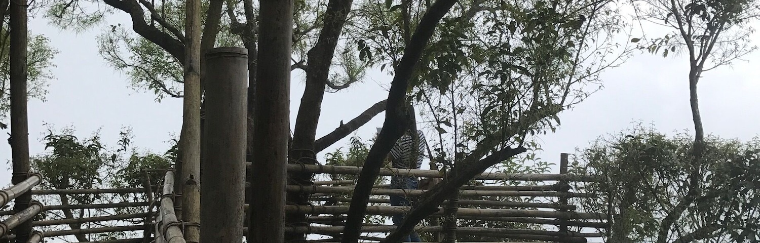 ❤️ #urban jungle