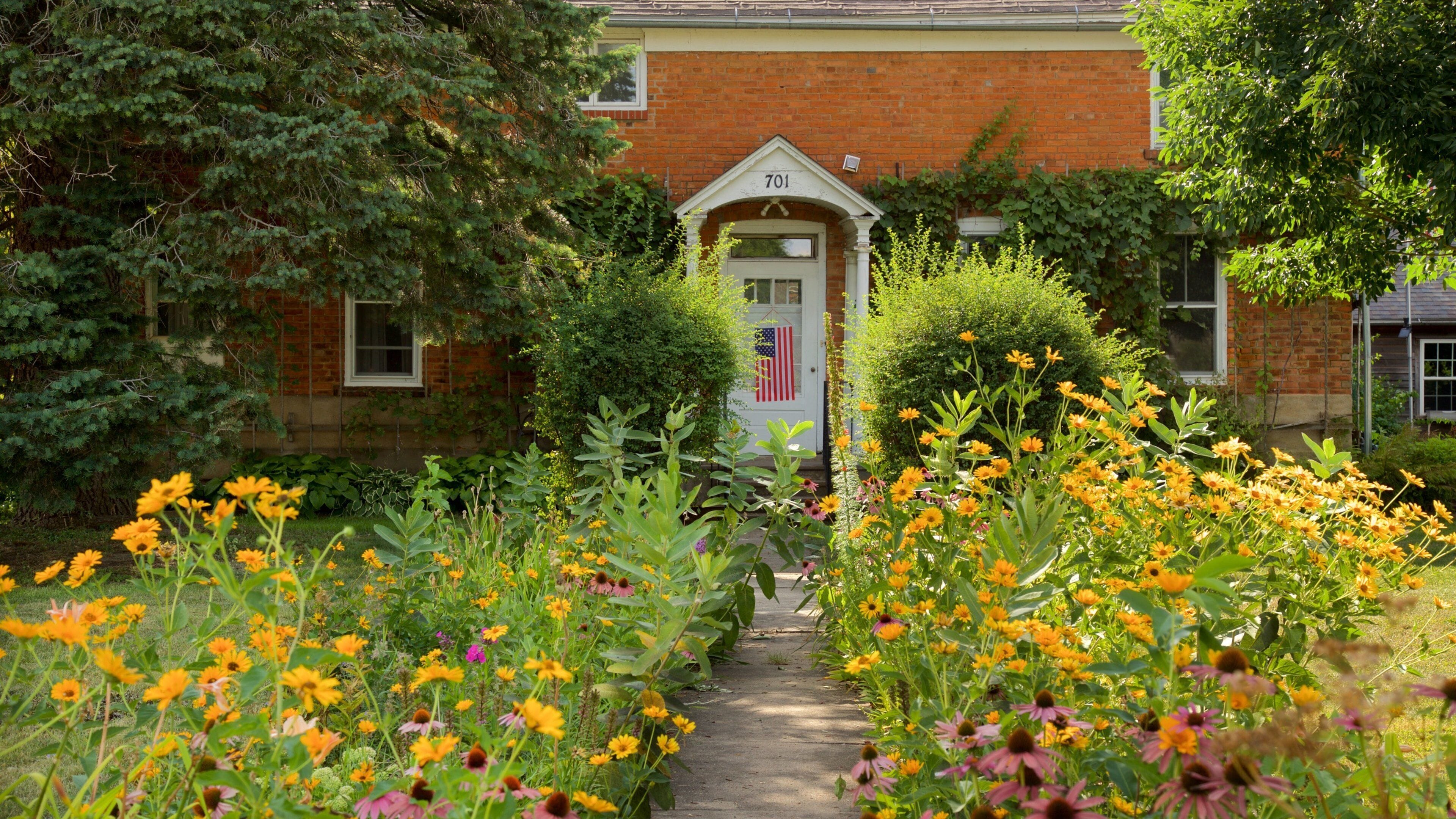Amana Colonies which includes wildflowers and a house