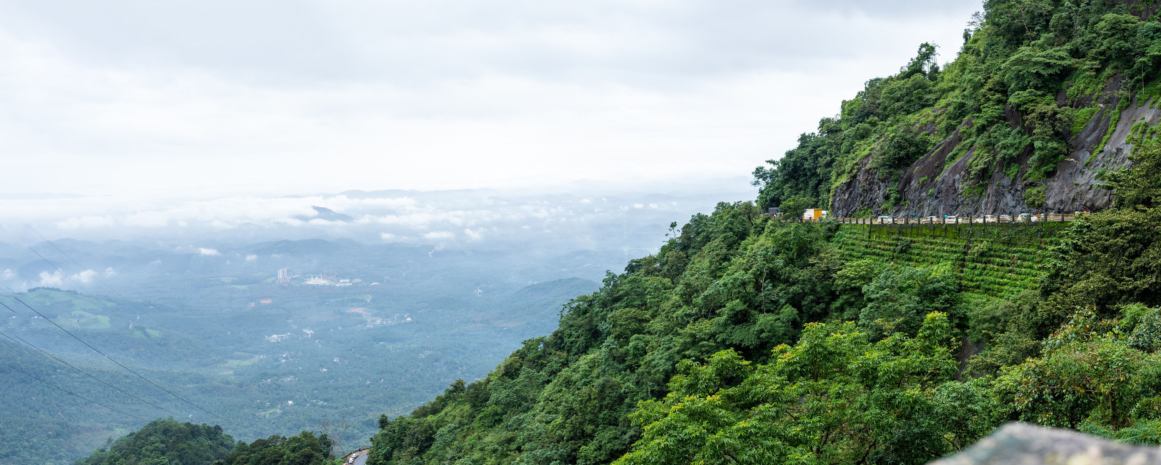 A lush green hillside with terraced fields and a winding road.