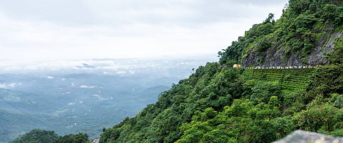 A lush green hillside with terraced fields and a winding road.