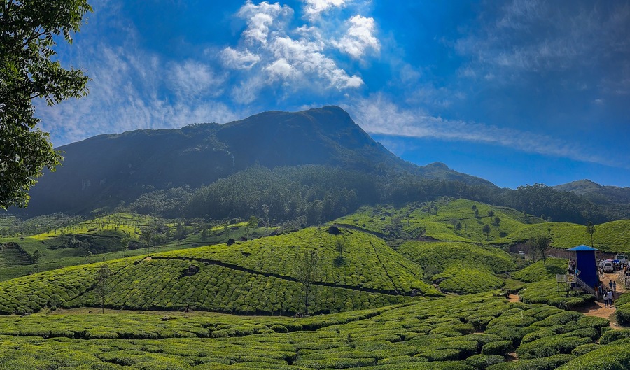 landscape in the summer