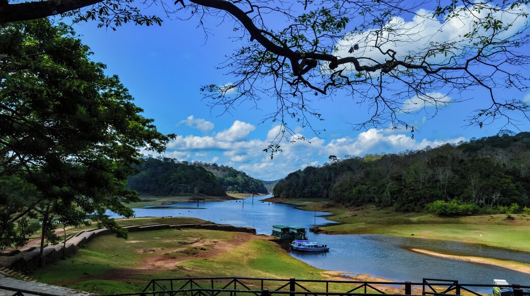 Periyar Wildlife Sanctuary, locating in Thekkady is the perfect example of nature's bounty with great scenic beauty and rich biodiversity.
Location: Kerala, India #wildlife #wildlifesanctuary
#keraladaries #kerala #keralastories #incrediblesouth #travelrealindia #trippyowl #incredibleindia #lifeatexpedia #likealocal