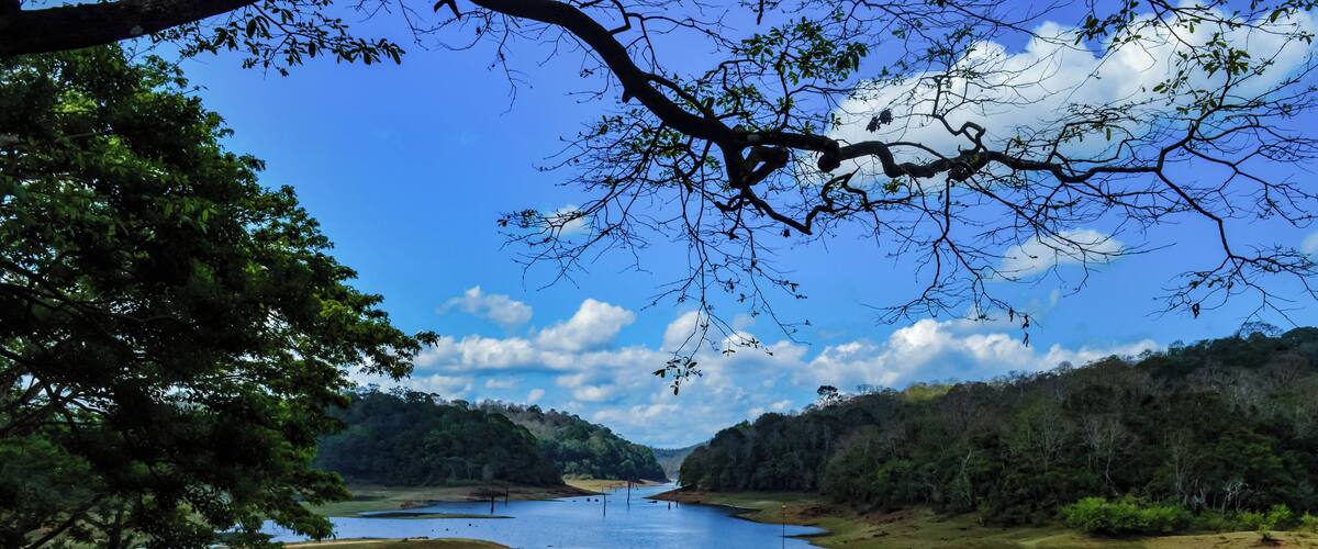 Periyar Wildlife Sanctuary, locating in Thekkady is the perfect example of nature's bounty with great scenic beauty and rich biodiversity.
Location: Kerala, India #wildlife #wildlifesanctuary
#keraladaries #kerala #keralastories #incrediblesouth #travelrealindia #trippyowl #incredibleindia #lifeatexpedia #likealocal