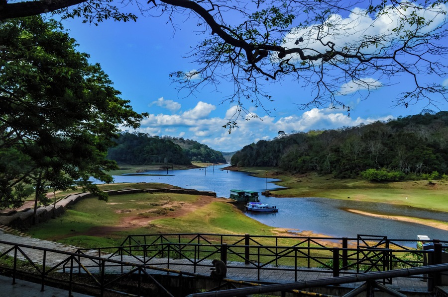 Periyar Wildlife Sanctuary, locating in Thekkady is the perfect example of nature's bounty with great scenic beauty and rich biodiversity.
Location: Kerala, India #wildlife #wildlifesanctuary
#keraladaries #kerala #keralastories #incrediblesouth #travelrealindia #trippyowl #incredibleindia #lifeatexpedia #likealocal