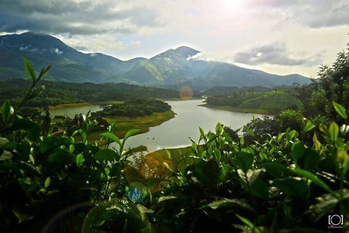 	
Lying close to the plantations, in the rich jungles of Periyar in Thekkady is one of the world's most fascinating natural wildlife reserves - the Periyar Wildlife Sanctuary.  Spread across 777 sq.km, of which 360 sq.km is thick evergreen forest, the Periyar Wildlife Sanctuary was declared a Tiger Reserve in 1978.  Noted for its geomorphology, diversity of wildlife and scenic beauty, the Reserve attracts visitors from all over the world.
The splendid artificial lake formed by the Mullaperiyar Dam across the Periyar adds to the charm of the park.  This is the only sanctuary in India where you can have the unique experience of viewing wildlife at close quarters from the safety of a boat on the lake.  The greatest attraction of Periyar, however, are the herds of wild elephants that come down to play in the lake.
