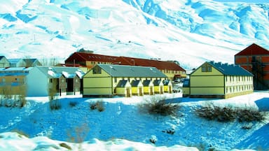 A snow-covered village with buildings and a mountain in the background.
