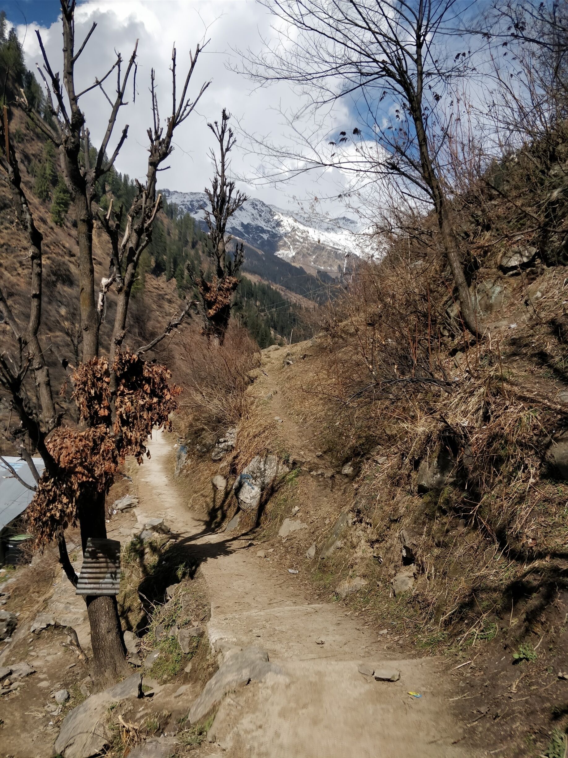 Trail leading to the #Malana village #india #himachal 