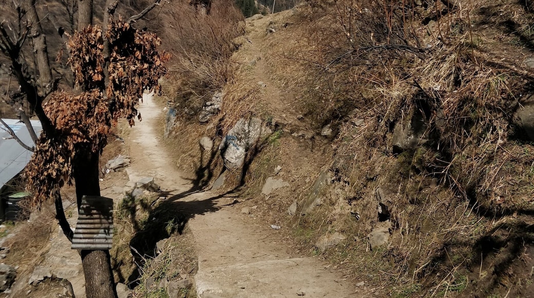 Trail leading to the #Malana village #india #himachal