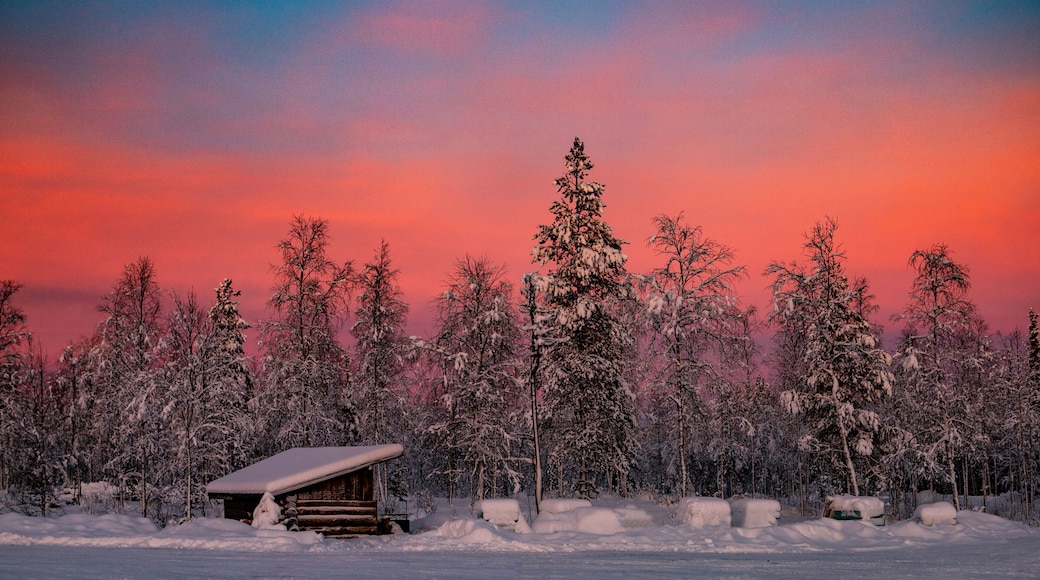 カクシラウッタネン